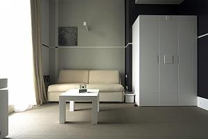 Room with sofa and big wardrobe