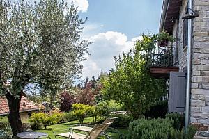 Sunbeds in the garden