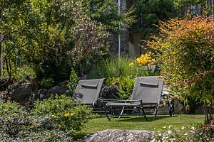 Lawns, flowers, trees, garden