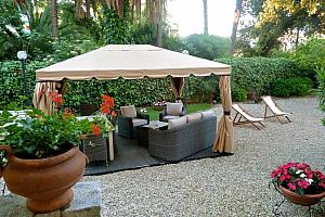Terrace garden gazebo palm trees