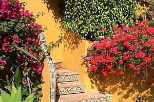 Stairs to New York suite