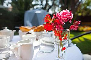 Breakfast in the garden