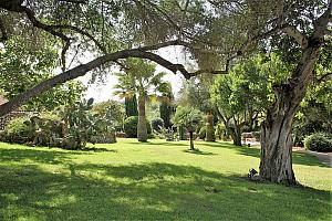 Country hotel garden