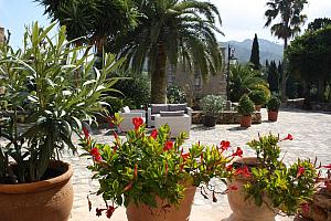 Hotel terrace
