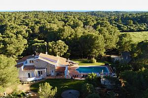 Hotel surrounded by pinewoods