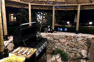 Barbecue in the garden