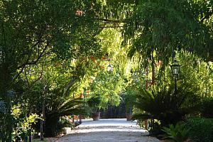 Hotel Finca Cas Sant, Mallorca