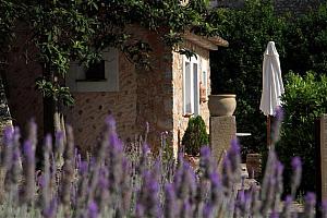 Garden, Finca Cas Sant