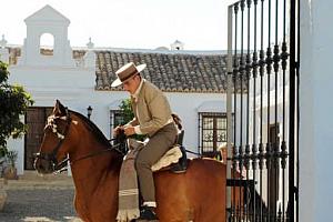 Spanish horseman