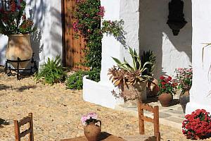 Sunny courtyard
