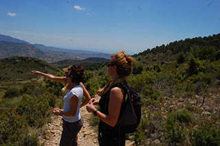 Walking in the Alicante hills