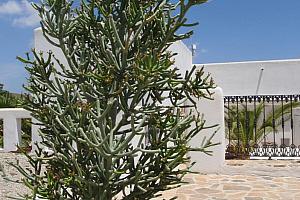 Hotel Cortijo Los Malenos, Agua Amarga, Spain