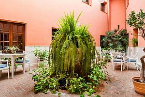 Patio, Palacio Las Manillas