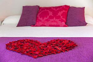 Petals on the bed