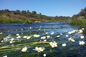 River in the west of Spain