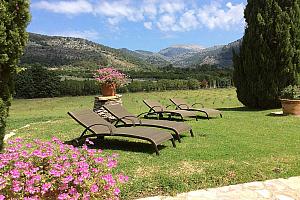 Hotel Son Ametler garden loungers