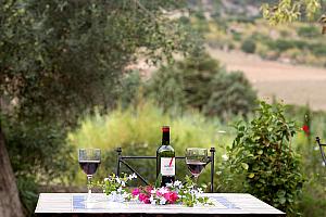 wine bottle and glasses