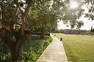 Large gardens
