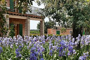 Garden, Small exclusive hotel, Majorca