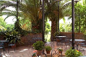 cafeteria bar Hotel Taray